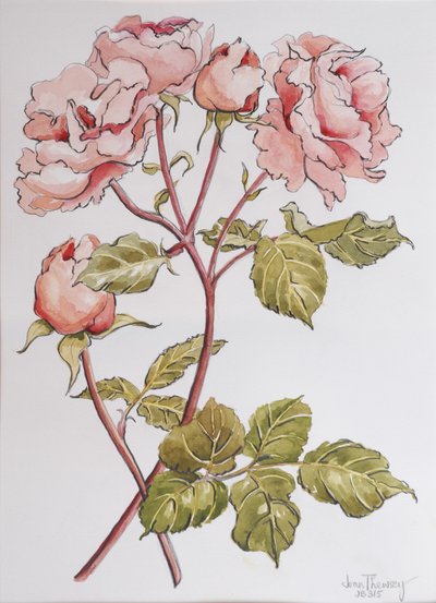 Roses, Abraham Derby, 2012 by Joan Thewsey